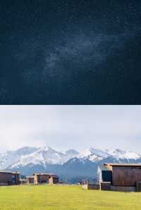 原始森林野奢體驗