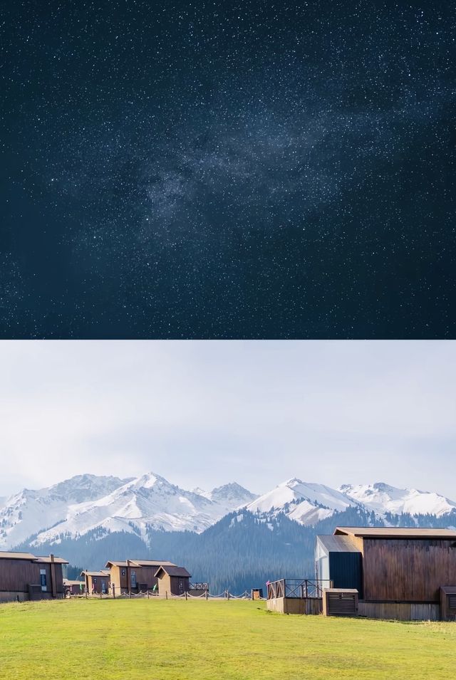 原始森林野奢體驗 原始森林野奢體驗