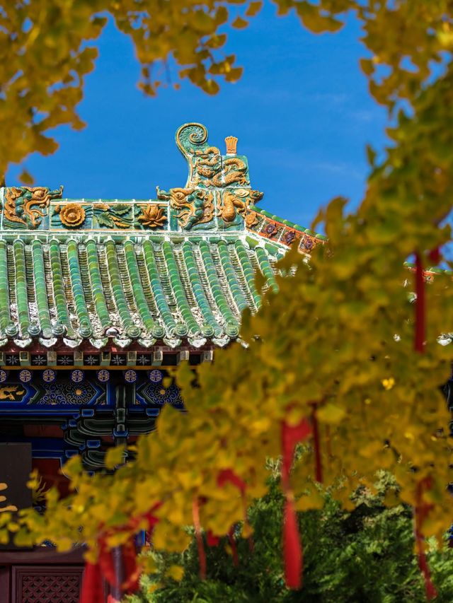 五老峰·秋|運城「雲端金脊」上線! 五老峰·秋|運城「雲端金脊」上線!