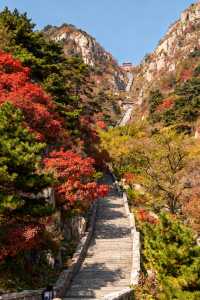 秋遊必看濟南-泰安-濟寧這樣玩才爽