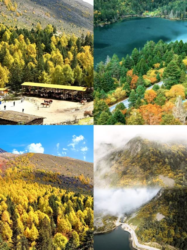 來木格措感受聖湖純淨與雪山巍峨的完美融合