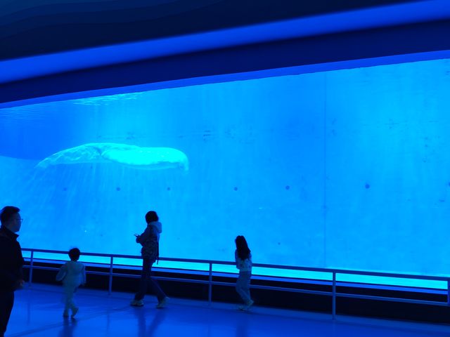 永泰歐樂堡福州版海洋王國 永泰歐樂堡福州版海洋王國