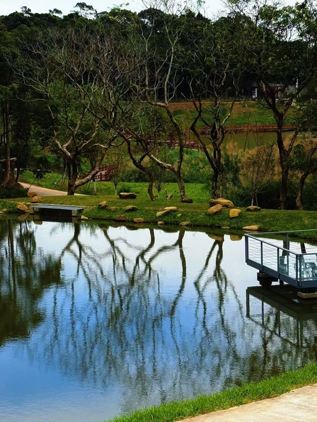 深圳人的小阿勒泰！恩上濕地公園太絕了