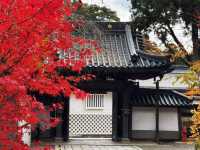 拈花一笑高野山