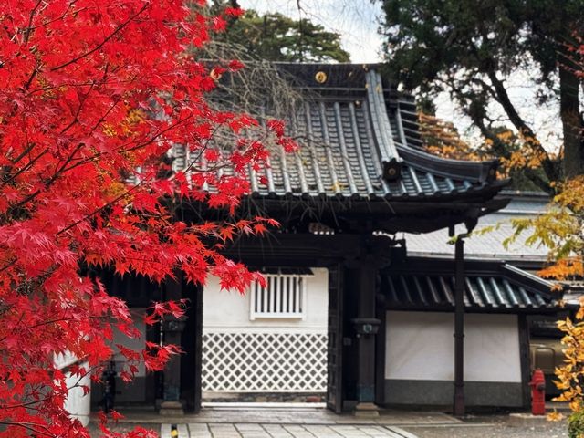 拈花一笑高野山