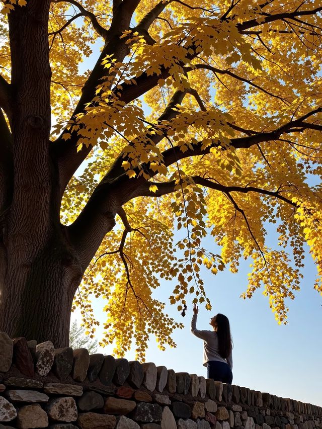 逃離喧囂！邂逅「天下第一水」楠溪江