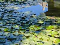 人民公園的春夏