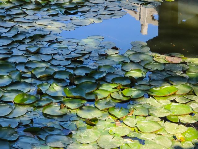 人民公園的春夏 人民公園的春夏