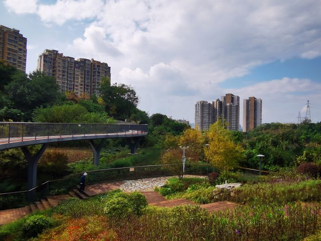 雨過天晴的自貢鳶山公園 雨過天晴的自貢鳶山公園