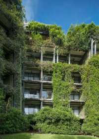 斯里蘭卡，更適合學生黨的高性價比之選！