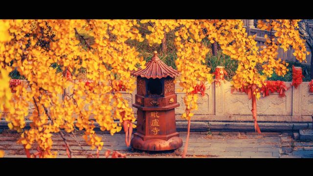 南京最禪意銀杏地毗盧寺私藏機位攻略