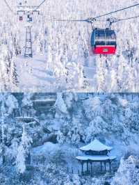 樂山-眉山|冬遊保姆攻略速碼住