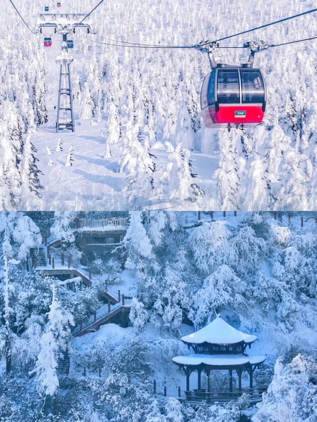 樂山-眉山|冬遊保姆攻略速碼住