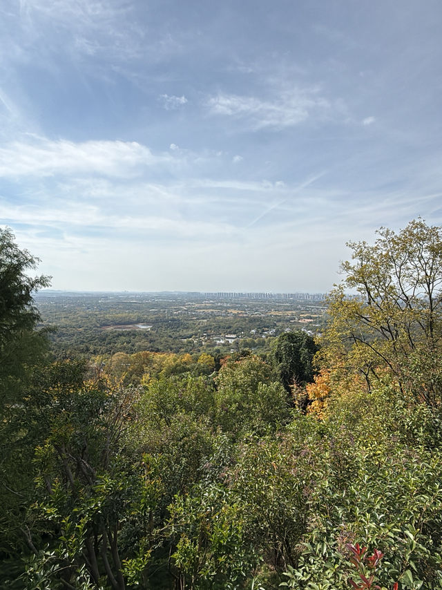南京 / 牛首山文化景區