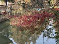 秋日虞山賞楓季