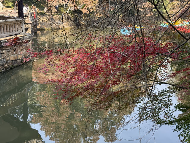 秋日虞山賞楓季