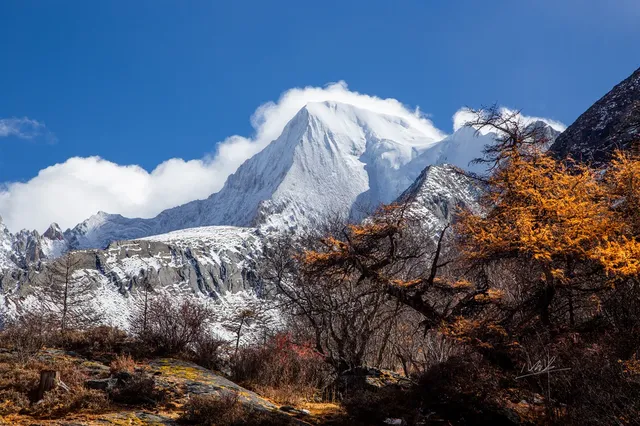 住進4000米的亞丁村,推窗見神山! 住進4000米的亞丁村,推窗見神山!