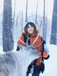 !漠河3天2晚小團把浪漫焊死在冬天裡