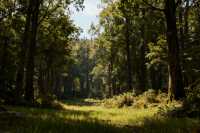 潛山3天慢遊:不止天柱山,非遺美食藏著皖城煙火