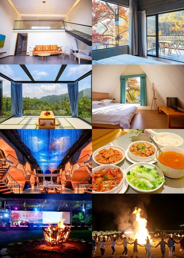 闖入嶺南的金色童話!落羽杉觀賞期已至 闖入嶺南的金色童話!落羽杉觀賞期已至