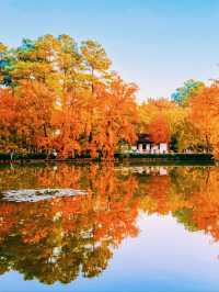 江浙賞秋地圖｜最美私藏地