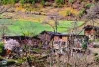 雲南怒江-霧裡村