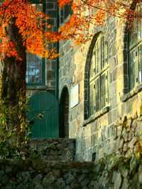 秋染莫干山，別有風味