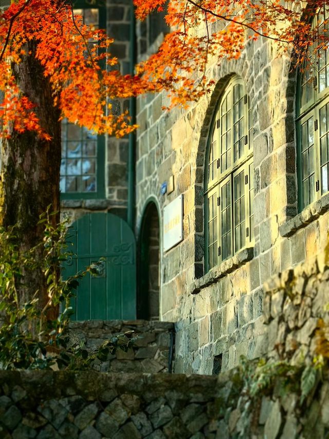 秋染莫干山，別有風味