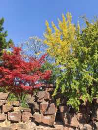 海寧觀潮勝地公園 | 深秋的詩意畫卷