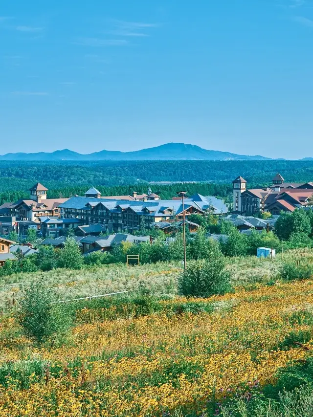 長白山華美勝地度假區綠發瑞士酒店：在中國東北體驗阿爾卑斯風情