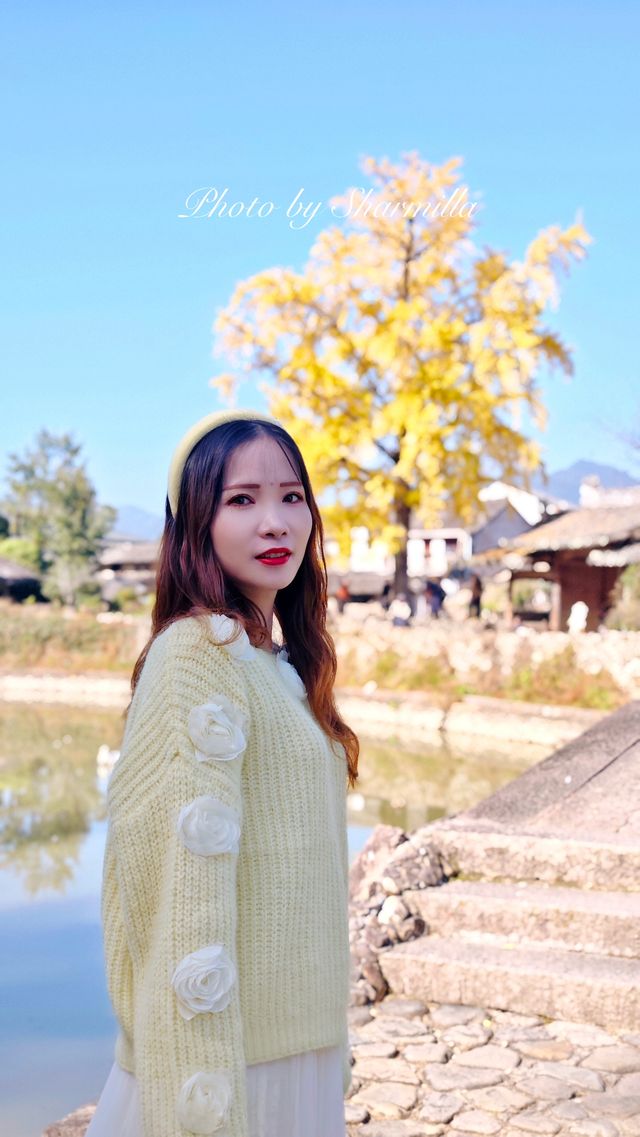 推薦溫州周邊賞銀杏的好去處 推薦溫州周邊賞銀杏的好去處