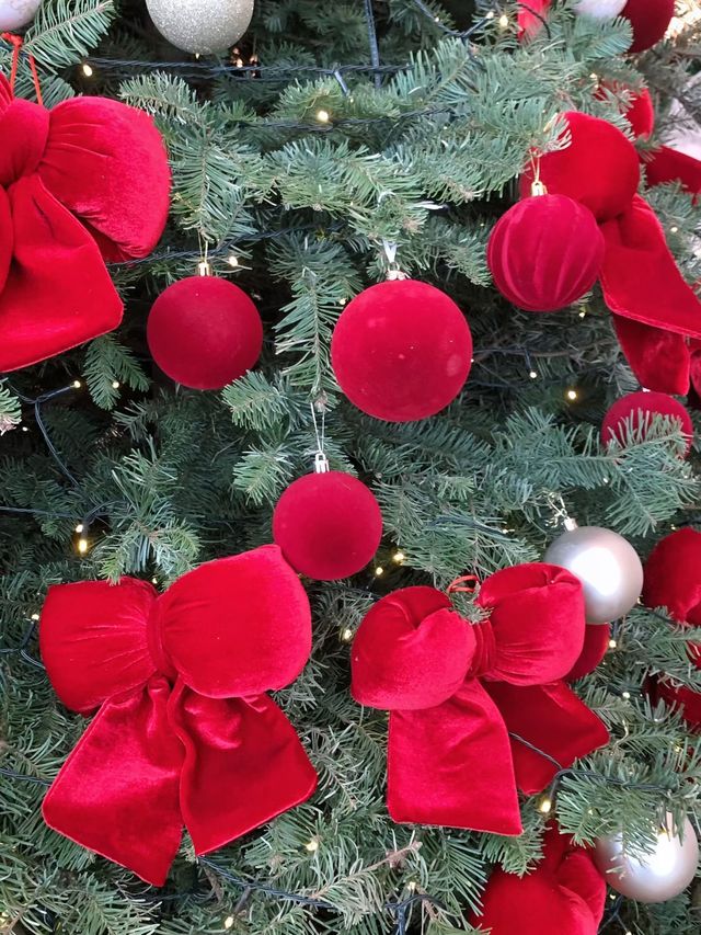 聖誕拍照,前灘華爾道夫紅絲絨聖誕樹 聖誕拍照,前灘華爾道夫紅絲絨聖誕樹