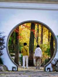 隱秘在魔都的秋日秘境！古漪園賞秋yyds