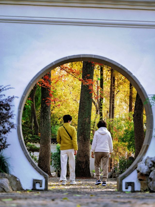 隱秘在魔都的秋日秘境！古漪園賞秋yyds