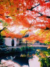 錯過無錫的秋 ，該有多遺憾吖