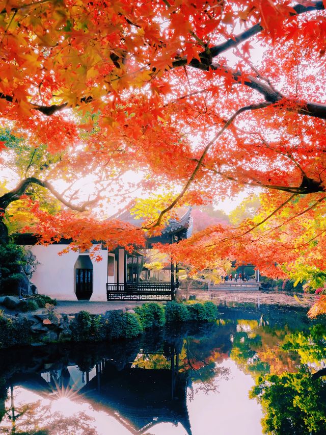 錯過無錫的秋 ，該有多遺憾吖