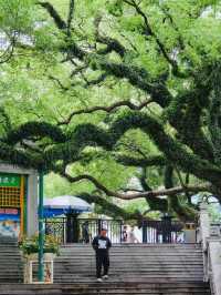 原來佛山都有中山公園?