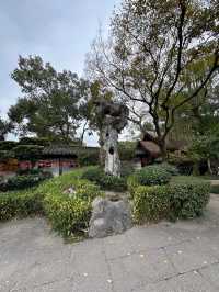 浙江紹興沈園見證千年的浪漫與悲歡