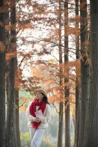 還用去擠白鷺灣?人少景美的水杉秘境!