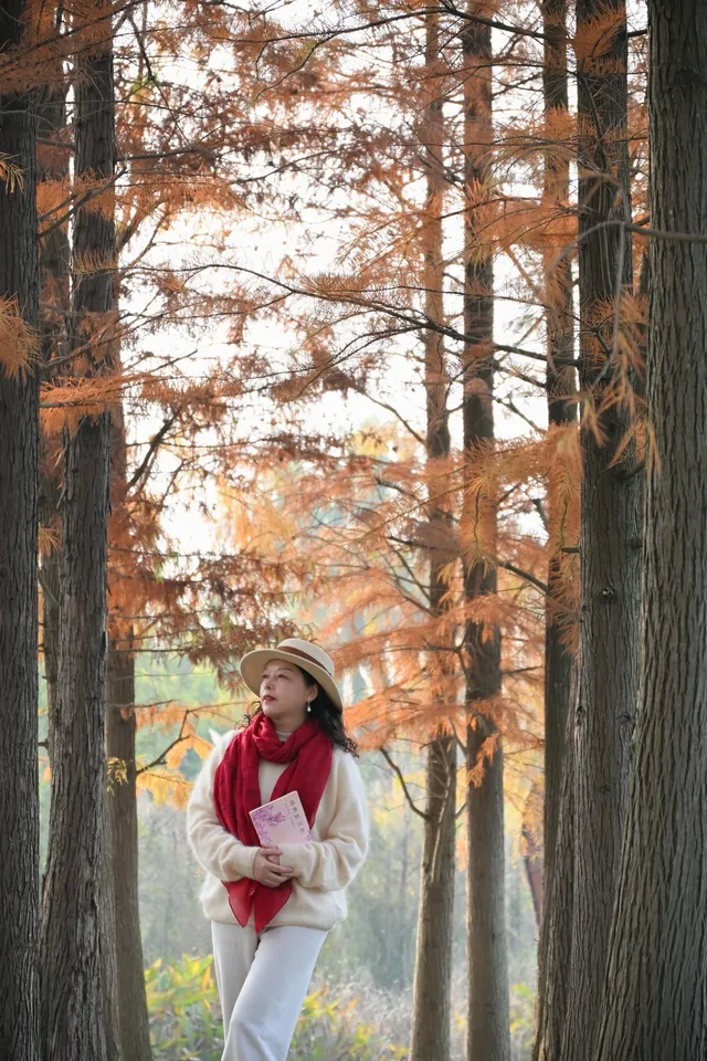 還用去擠白鷺灣?人少景美的水杉秘境! 還用去擠白鷺灣?人少景美的水杉秘境!