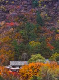 停車自由才是真自由鴻達酒店