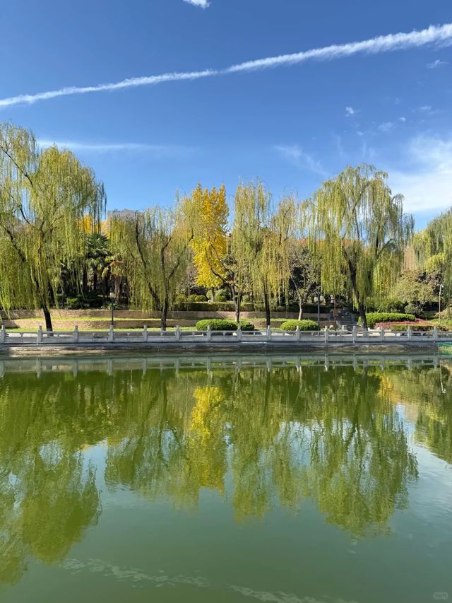 冬日曬太陽散步好去處