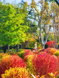 11.27實拍!和平公園的秋天比濾鏡還絕!