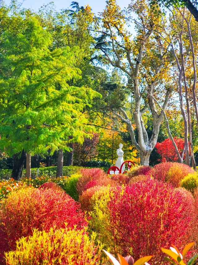 11.27實拍!和平公園的秋天比濾鏡還絕! 11.27實拍!和平公園的秋天比濾鏡還絕!