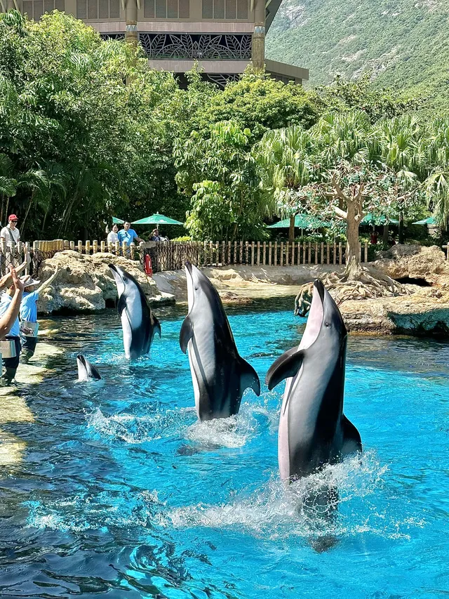 珠海!!!長隆海洋王國攻略吃喝一條龍~ 珠海!!!長隆海洋王國攻略吃喝一條龍~