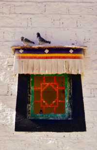 色拉寺值得去兩次!我的波折與圓滿全攻略