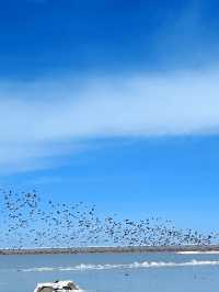 獨享青海冬日秘境