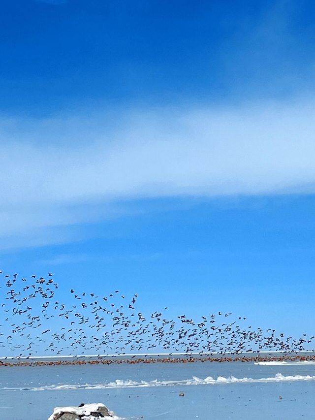 獨享青海冬日秘境 獨享青海冬日秘境