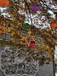 看我用手機記錄鹽官最濃的秋色附機位版