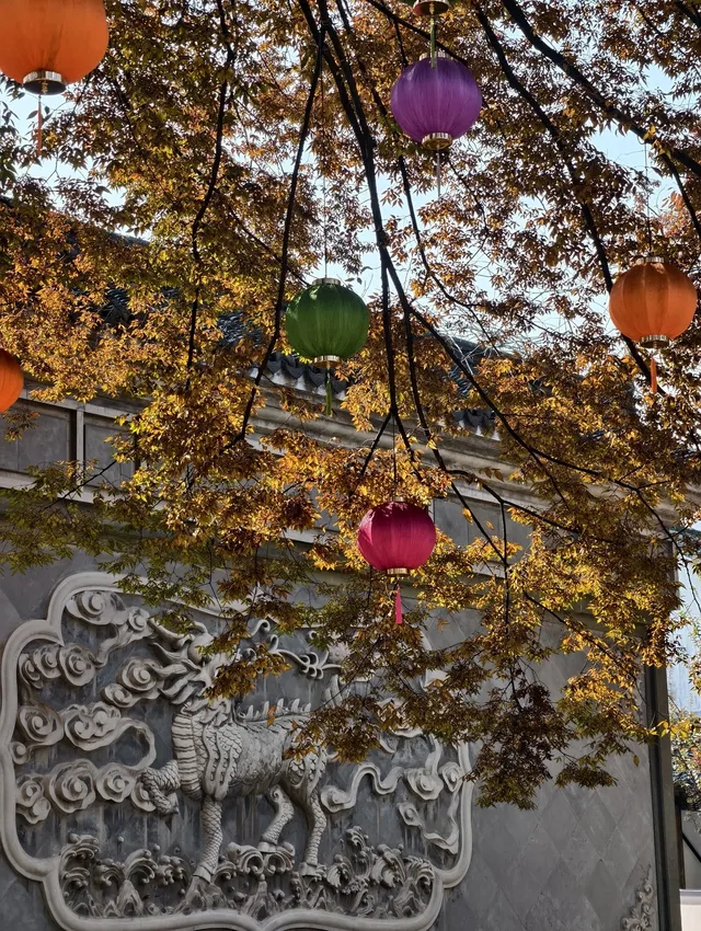 看我用手機記錄鹽官最濃的秋色附機位版 看我用手機記錄鹽官最濃的秋色附機位版